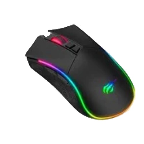Mouse